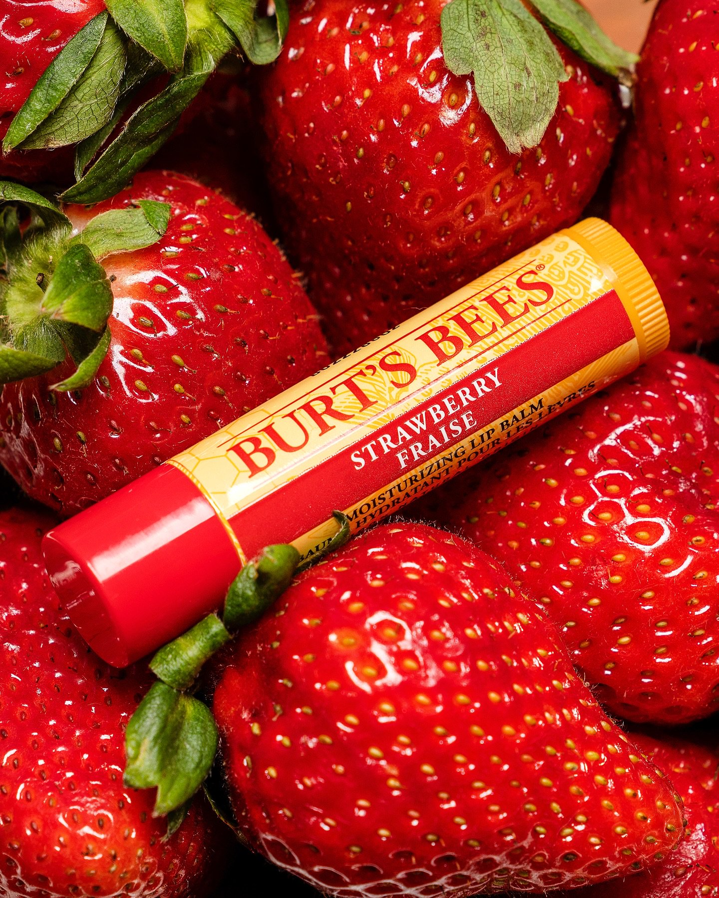 Hinh anh Đọc thêm: 16