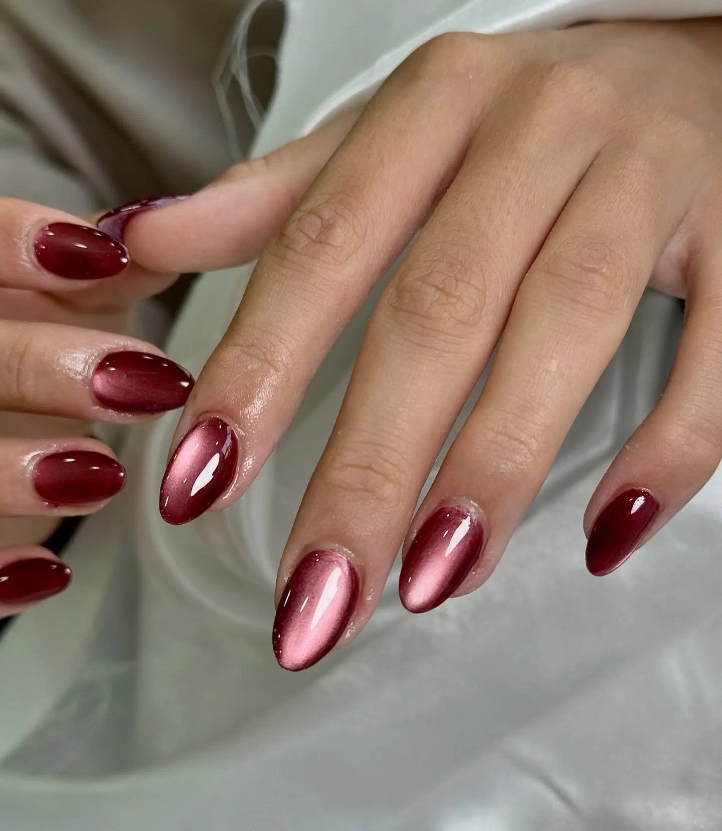 Hinh anh Sắc đỏ quả mọng Cranberry Red 2