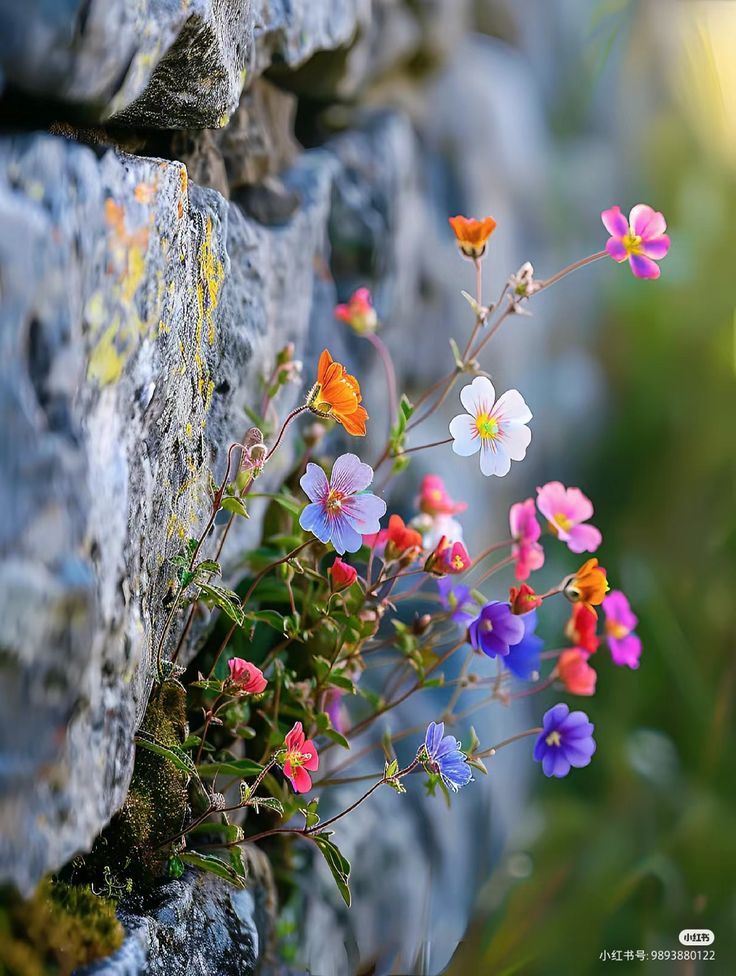 Những khó khăn thất bại càng nói ra càng khiến bạn thêm áp lực