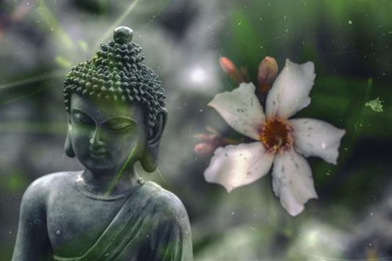 Chỉ có kiên trì làm việc thiện, làm việc thiện, tiếp tục bao dung cho mình và chúng sinh, luôn có tấm lòng từ bi thì phước lành sẽ đơm hoa kết trái, từ từ tăng trưởng. (Ảnh minh họa)