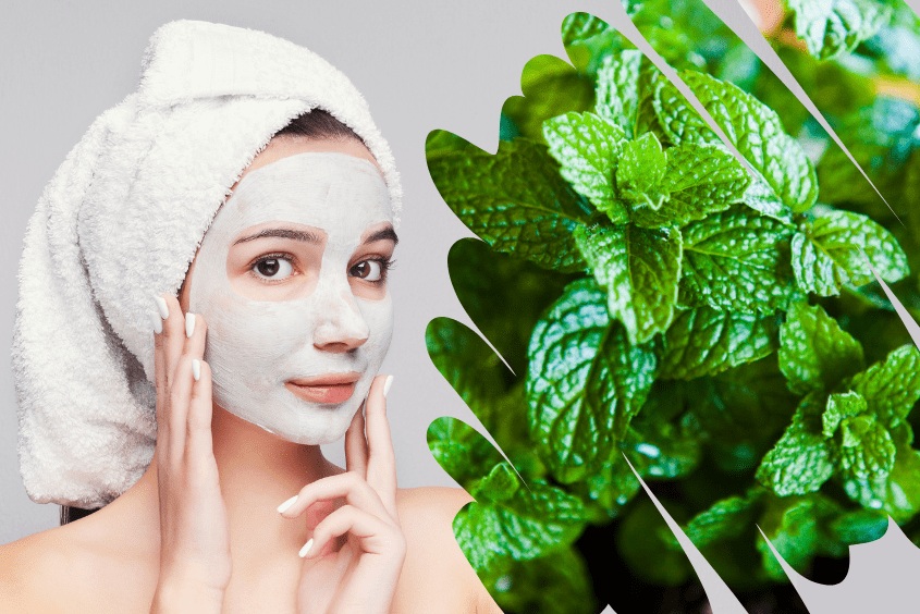 Một hệ tiêu hóa khỏe mạnh giúp hạn chế tình trạng tích tụ độc tố, giảm nguy cơ mụn và xỉn màu da